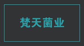 食品行业苏州姑苏区工作服设计款式